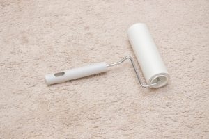 犬の換毛期はいつ?抜け毛の理由と正しいお手入れ・受診の目安まで詳しく解説【獣医師監修】 14 d4fac40e5cc851082034219c2b2deef0