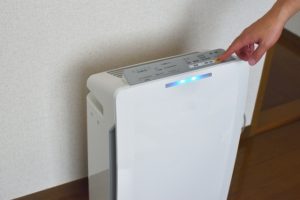 犬の換毛期はいつ?抜け毛の理由と正しいお手入れ・受診の目安まで詳しく解説【獣医師監修】 15 f484ed169a1954a8f0e2250ea7815fbd