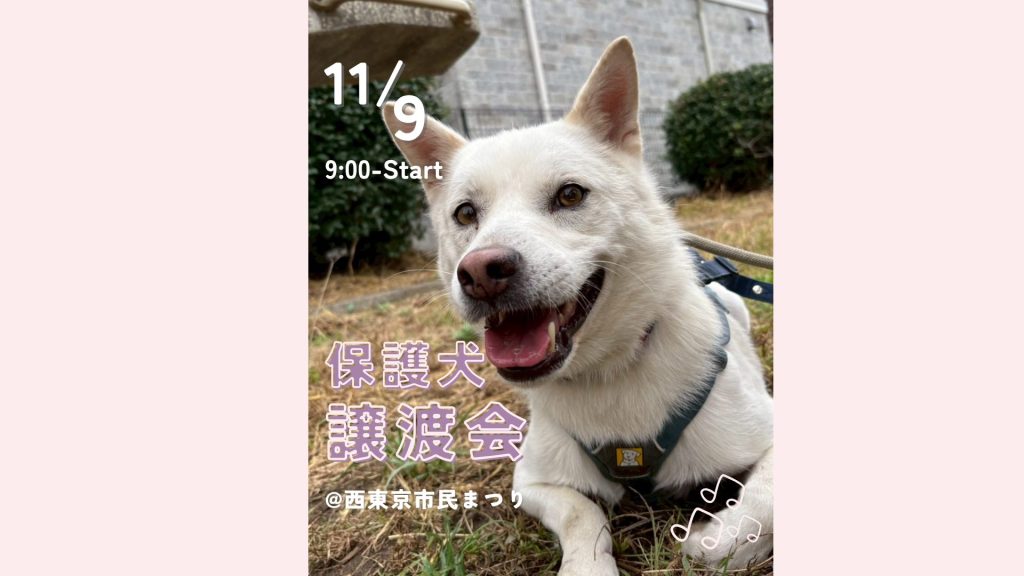 afa255432ab7732949f9bacbba7a5f69