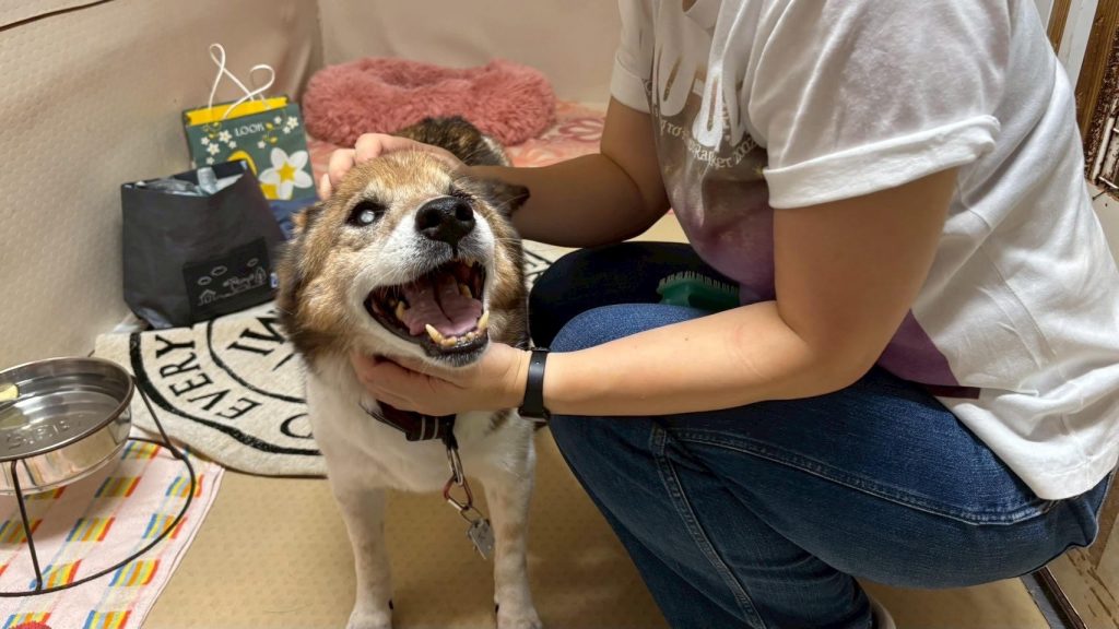 4b7148a700dde219b688ede98e2845e0