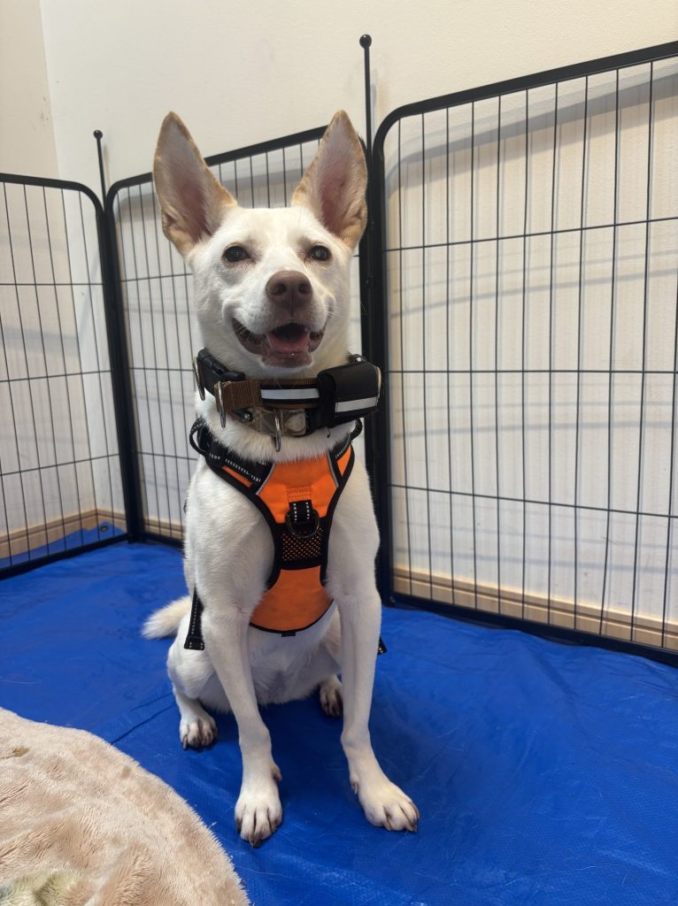 454b25d64dc4344f5a5d7eb9969942fa