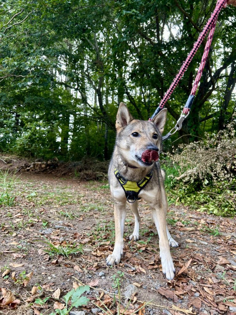 7ae0c9e044c580e5b8b086b7f7d7329d