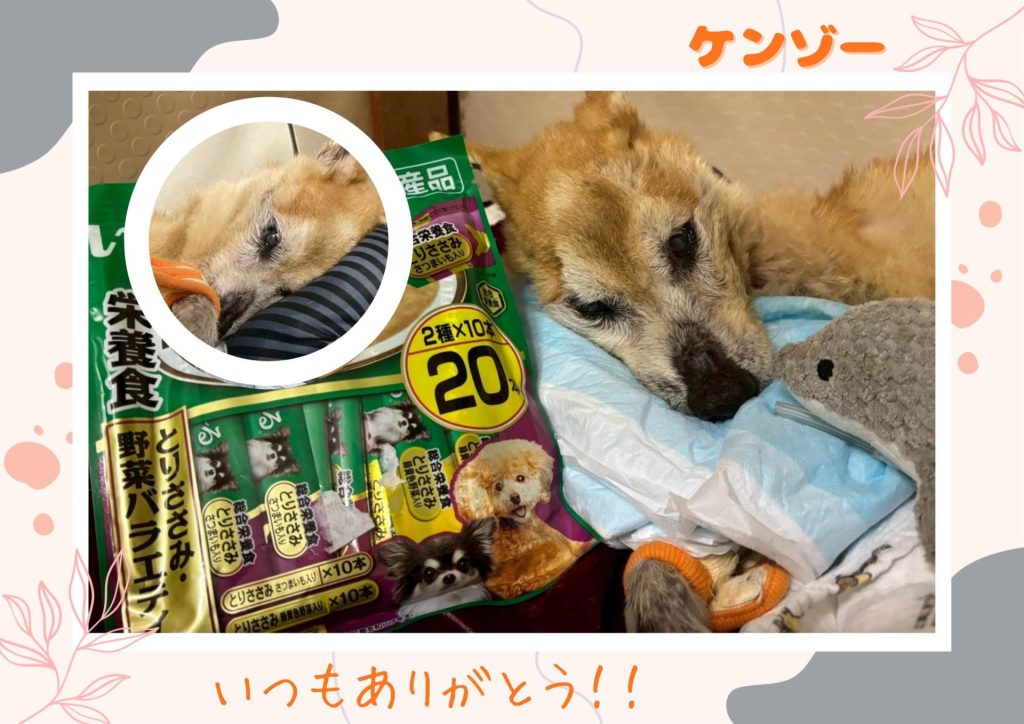 bd0d6694615119c653cf5514405c6f0c