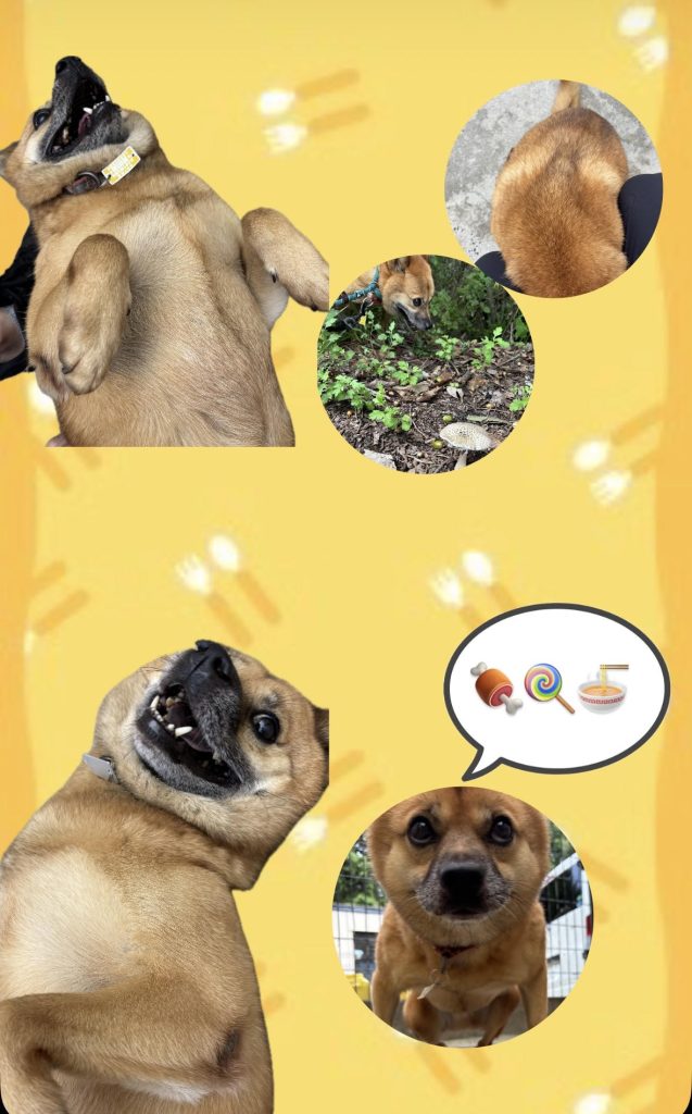 d6b66e1a77c4e729ceda1a6c11d2b1aa