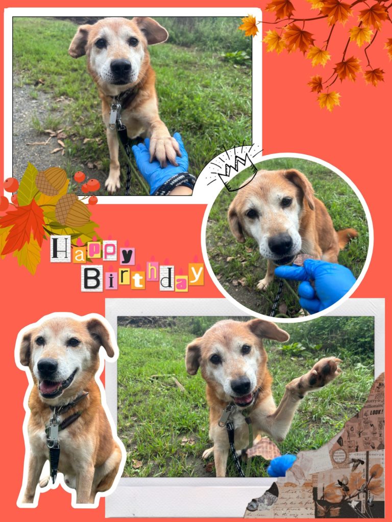 edde96033bd55c029825af2764783478