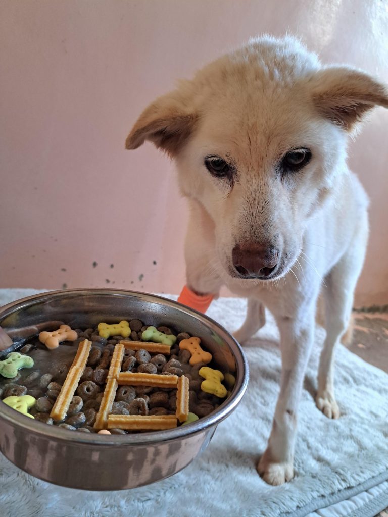 389bff4d0060396755e11de155621bf0