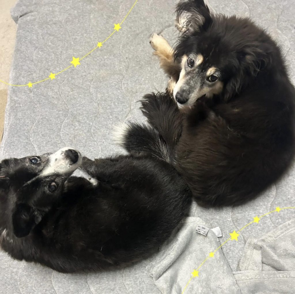 058b18a942960dd7e02c80313b7057f1