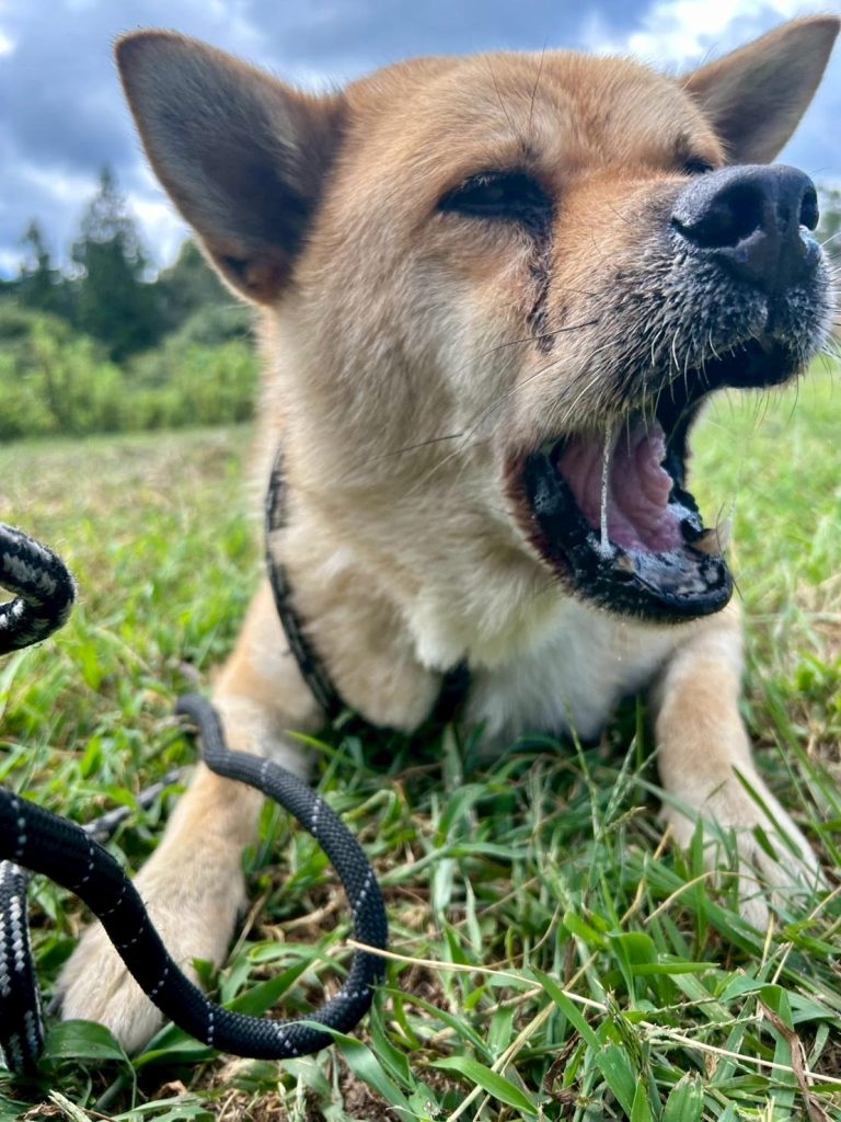 08953ae28ce8de060c1e9d906ce28184