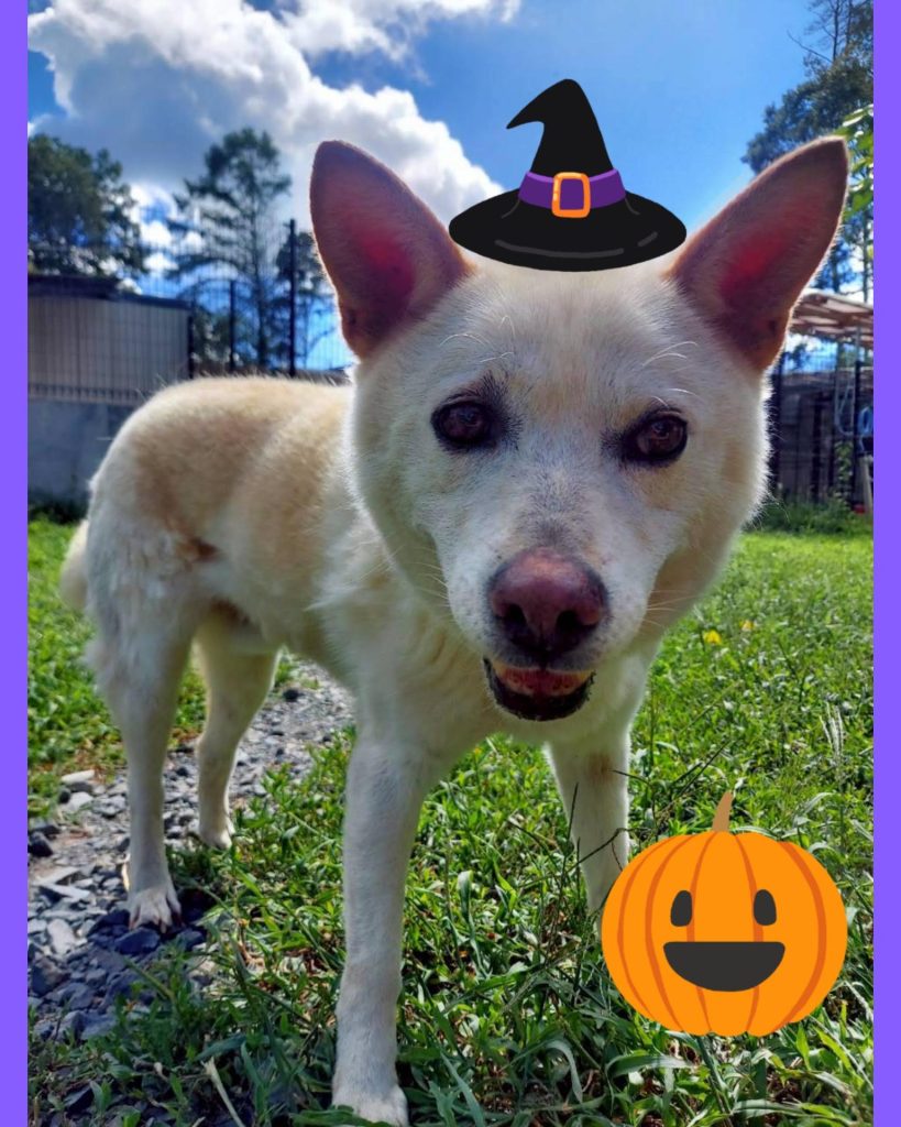 11e0d49cb66611434b40912fe283be90