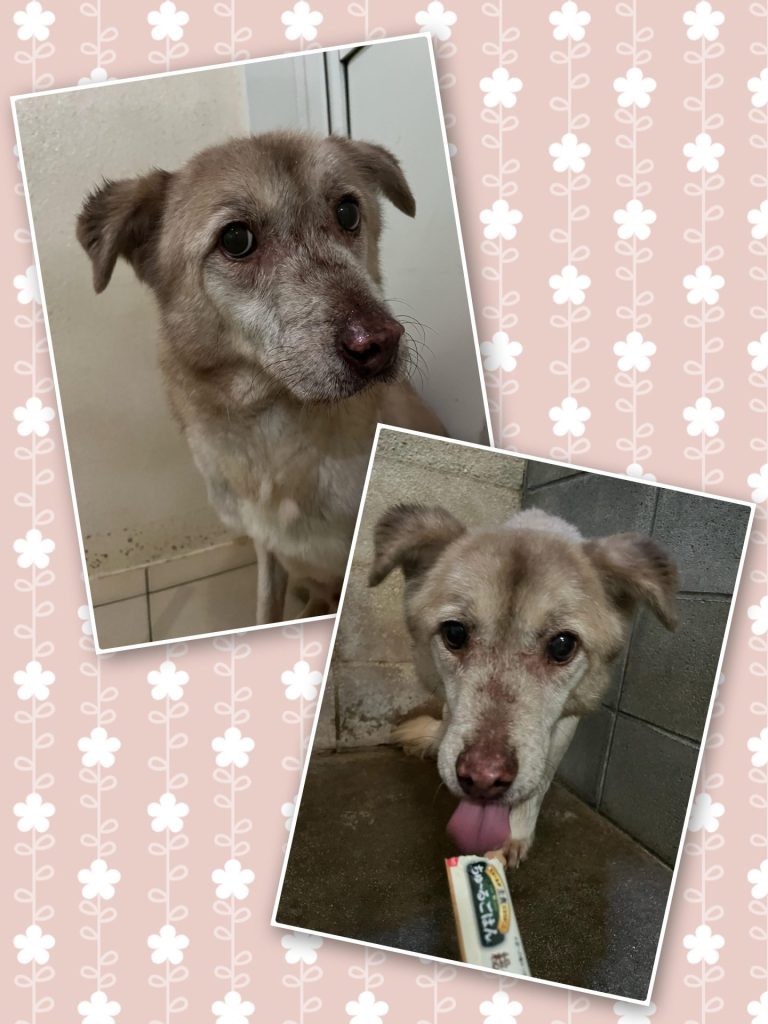 540bca3b8a7377bf8aabd4c1e751a31c