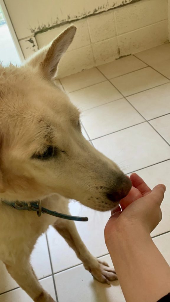 056291b23d8af40c6b00be34c322dfa2