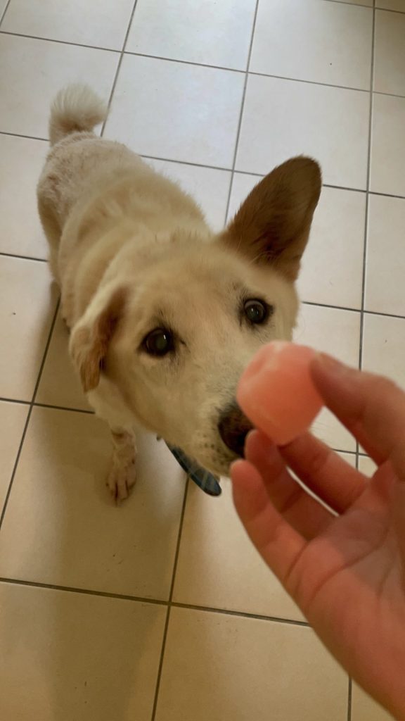 81989a5c97005d06773a0e19b087e58f