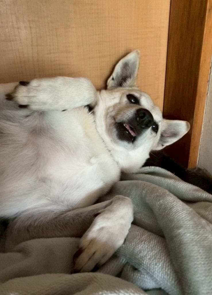 a35569b39a3f6fc1b473209ea8a9fb7b