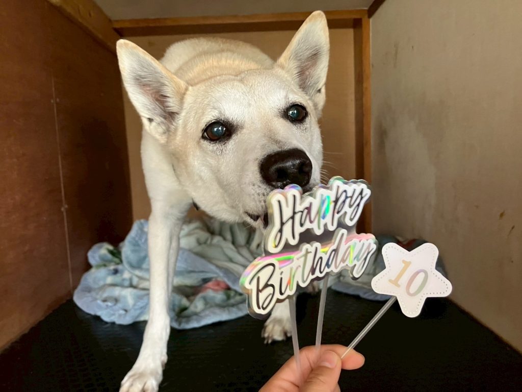 720db3cbb416c14736429ca5b5a4191d