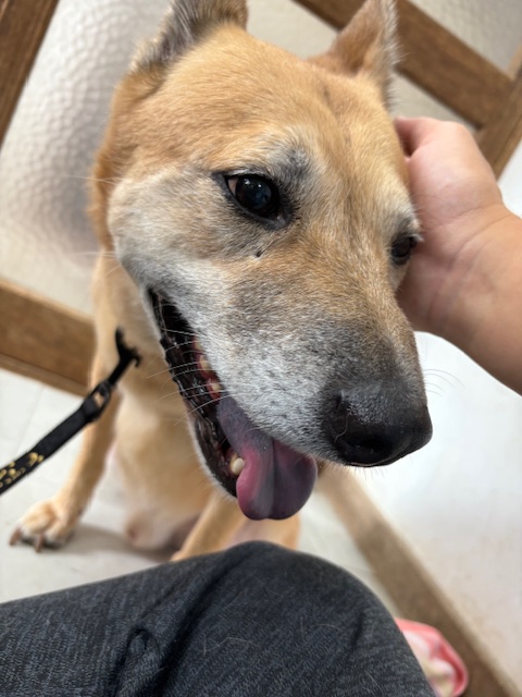 e8112e5b8c840f0db87c07533c7f1bc0