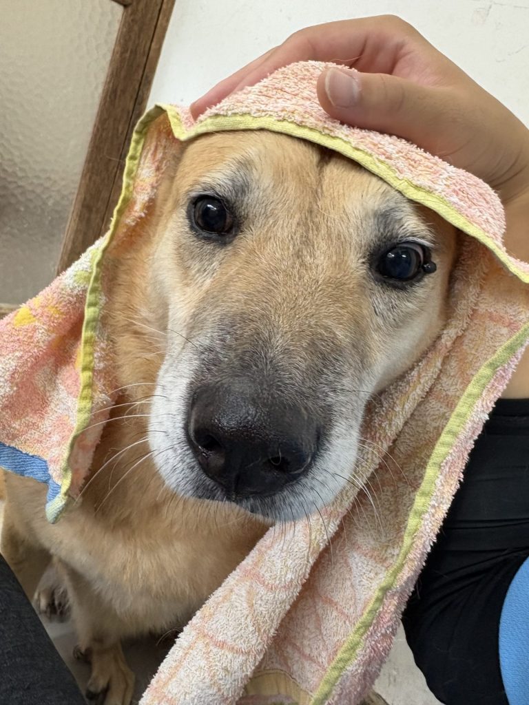 c9dabc6b712b16ffa86d358ce26eb4bc