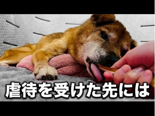 7e223b748e96de096dccfe29d9d79ec5