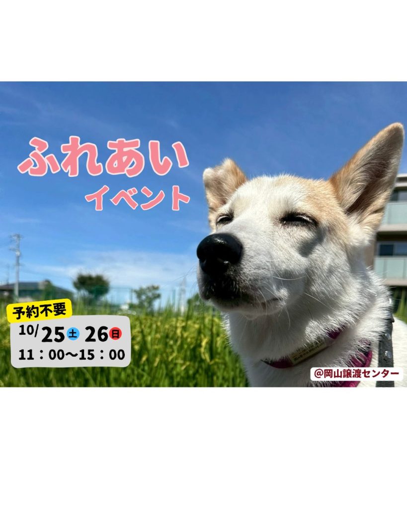 【ピースワンコのイベント】10/25(土)、26(日)「ふれあいイベント」開催(岡山譲渡センター) 6 4070a93fb3c80db771a41446195f7b6d