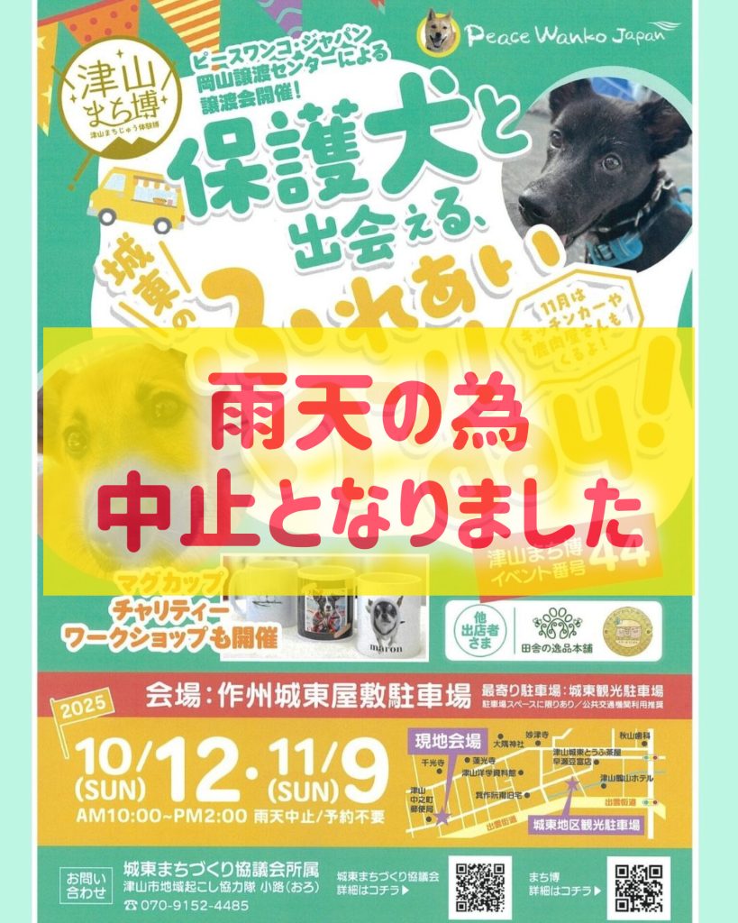 【ピースワンコの譲渡会】11/9(日)※雨天中止になりました※「保護犬と出会える、ふれあいワン!day! 」(岡山/津山市) 12 InShot 20251108 145018598