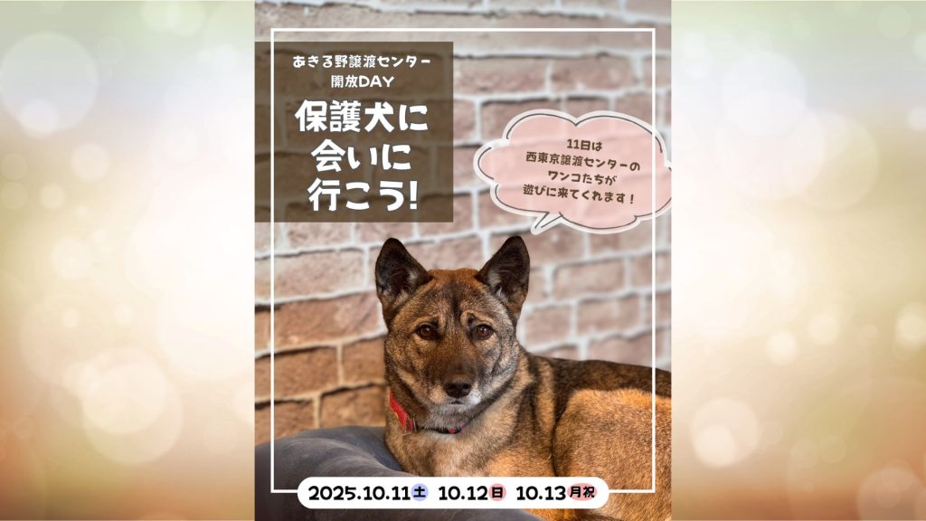 1b272fa2143638cabfeec9629025adab