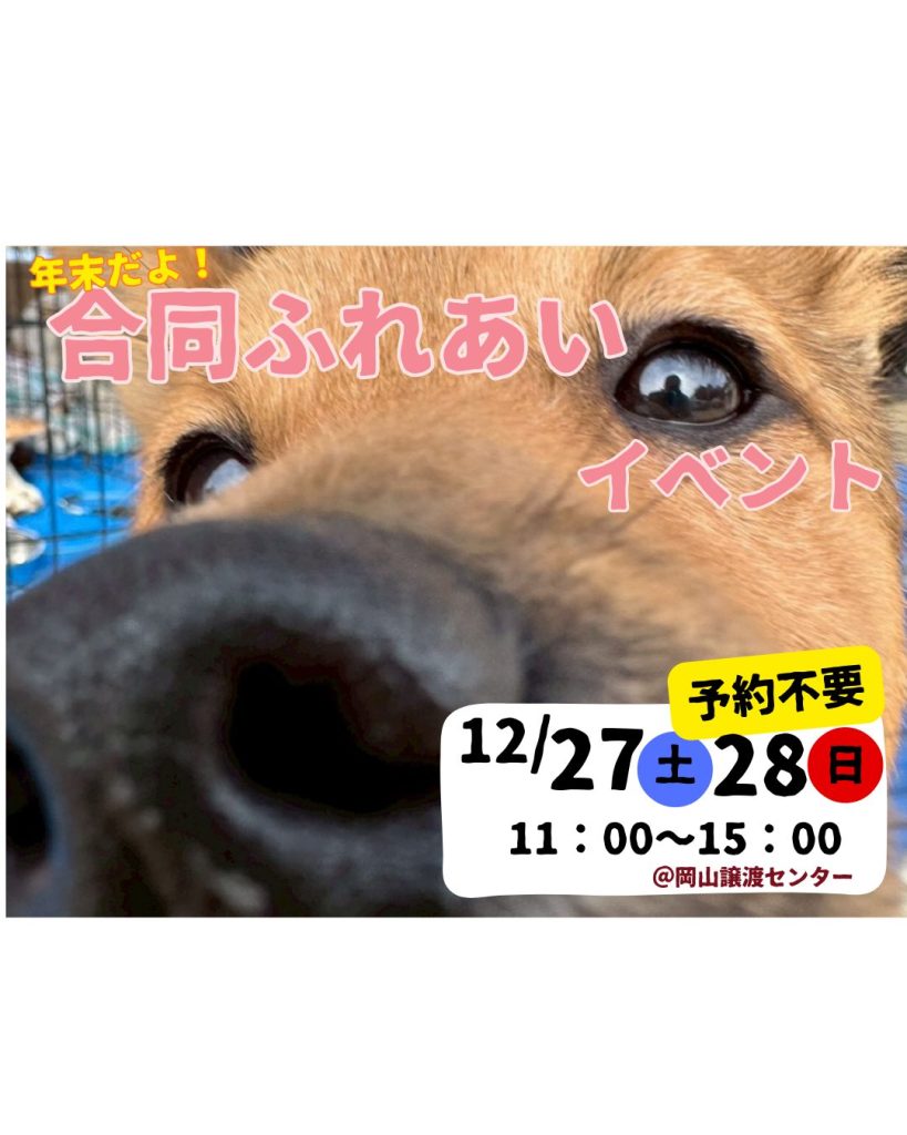 【ピースワンコのイベント】12/27(土)、28(日)「年末だよ!合同ふれあいイベント」開催(岡山譲渡センター) 3 2 18