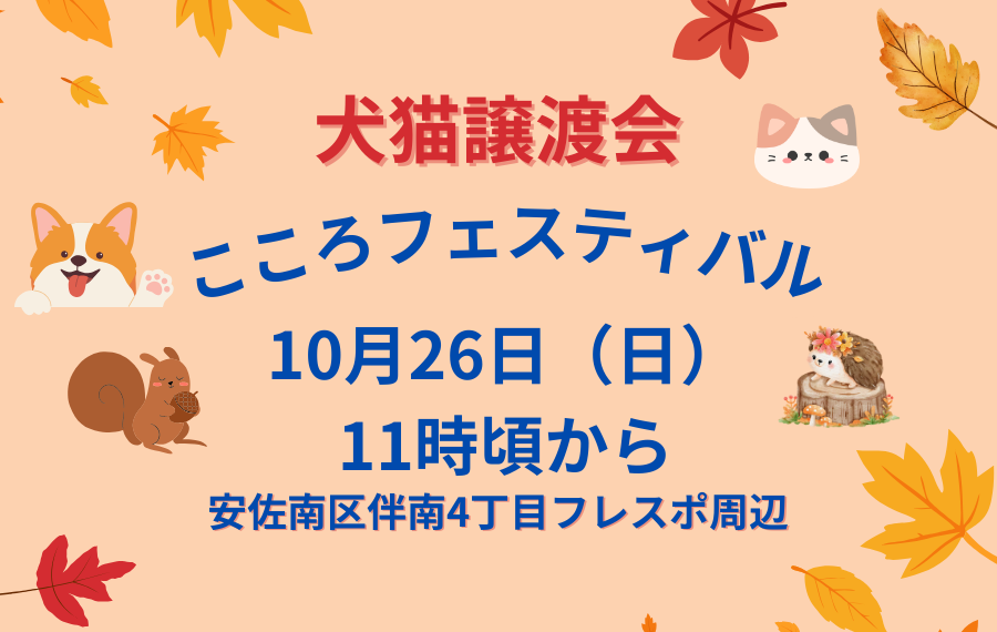 【ピースワンコの譲渡会】10/26(日)「こころフェスティバル譲渡会」に参加(広島/安佐南区) 5 8fb641030476025e56ad1f08bf5ae582