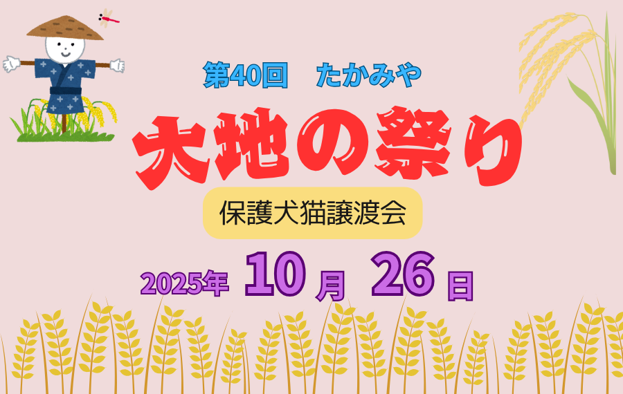 【ピースワンコの譲渡会】10/26(日)「たかみや大地の祭り」に参加(広島/安芸高田市) 3 1 4