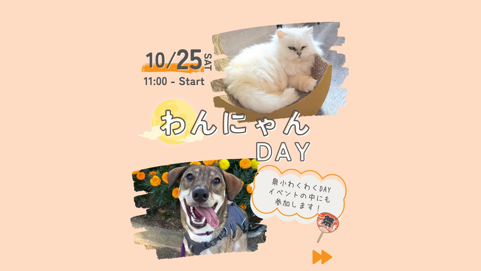 10/25(土)わんにゃんDAY