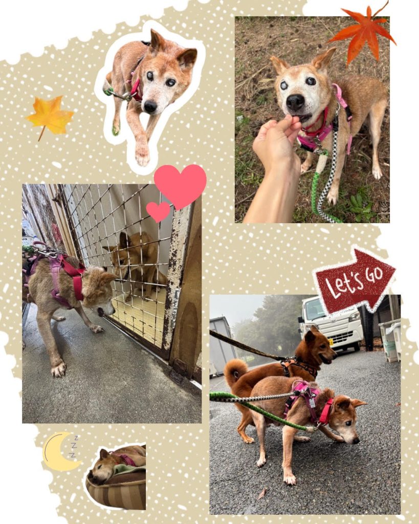 f7ce1812e47236e085be5921c7eb9429