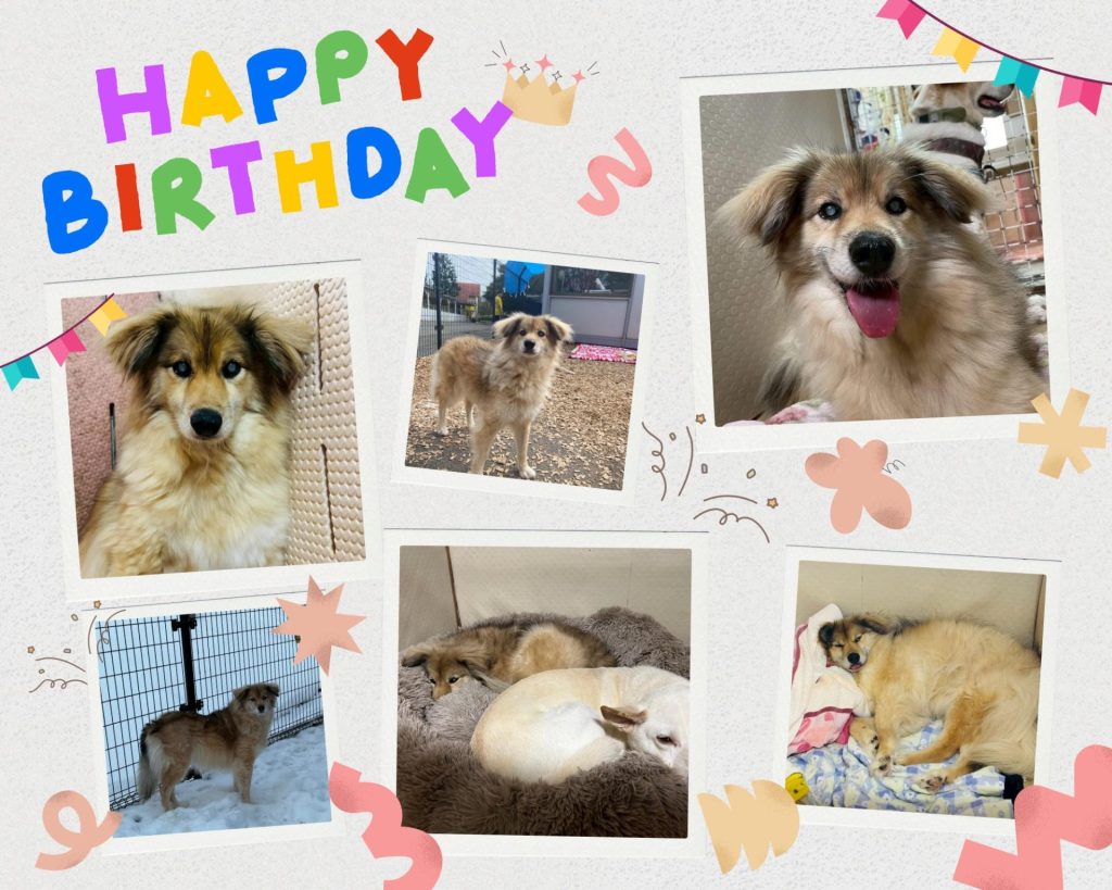 2925d71f8a59cfad164a4ab032b73cae