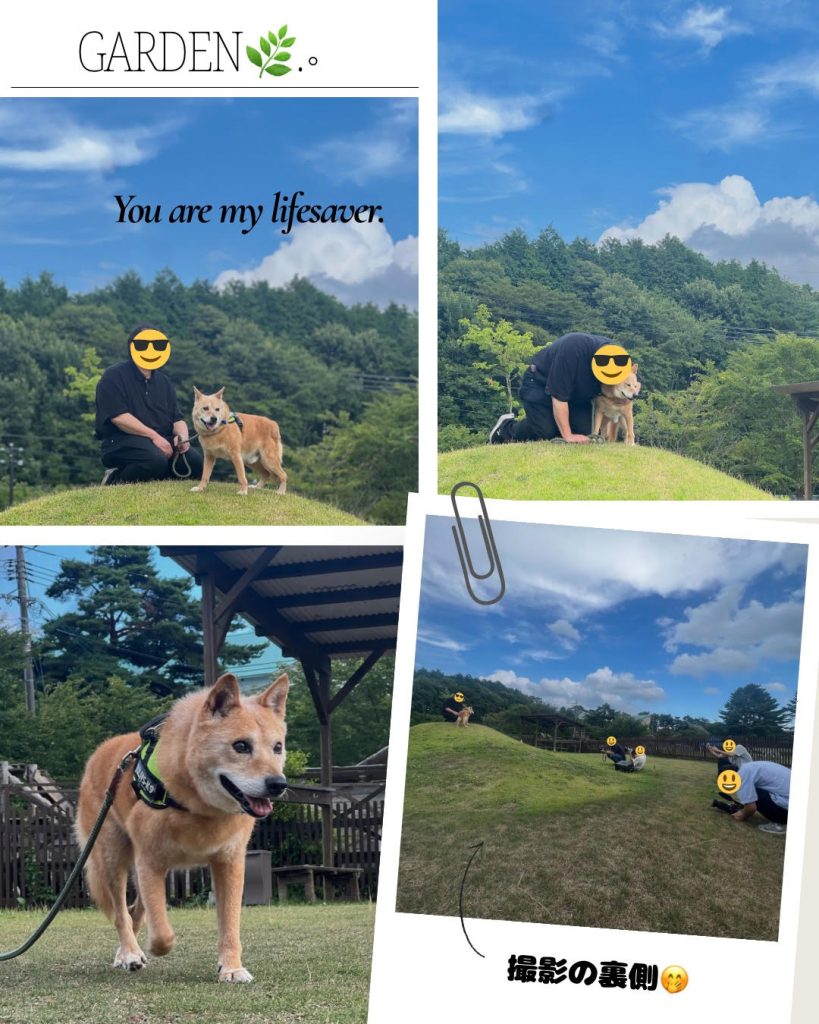 13c74e1d09c4f9dd3d1f63b4a98fd029