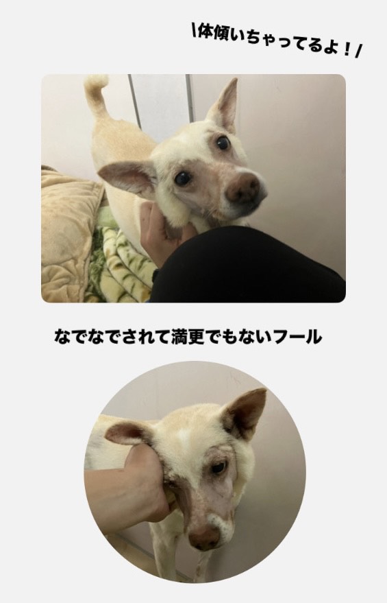 3b843950cb1e1f5da5070fab27caaaf0