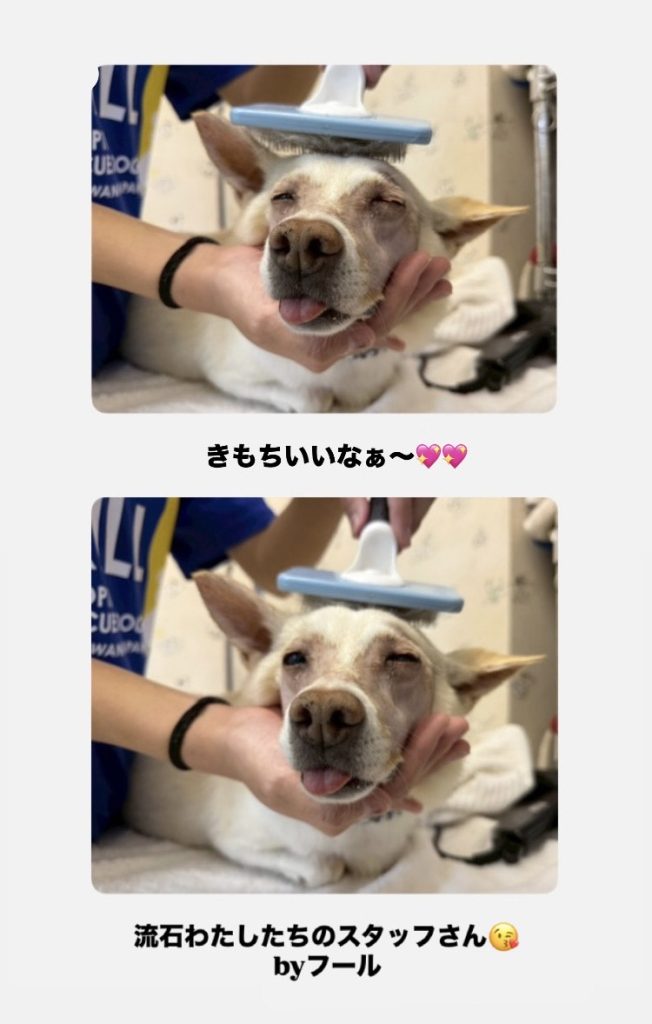 67aeb64f9aa925db5cc37d16685316fa 1