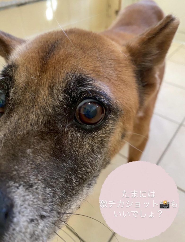 2aeab6a8e299a2b2f9ab402e214119af