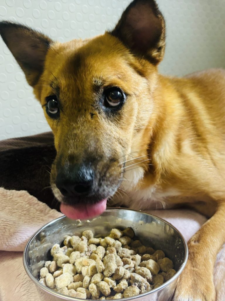 9b0c3896f07140d5eb78ec2b55adaf63