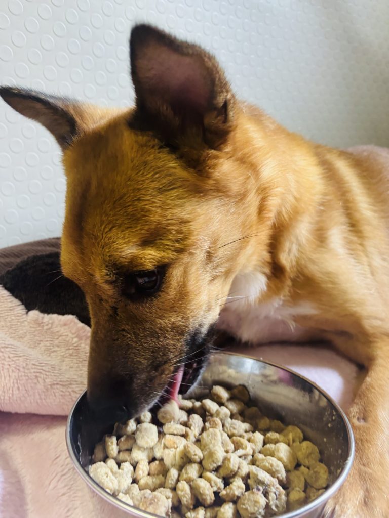 a7d1a187bcf9de4761283acc9d8c3dbe