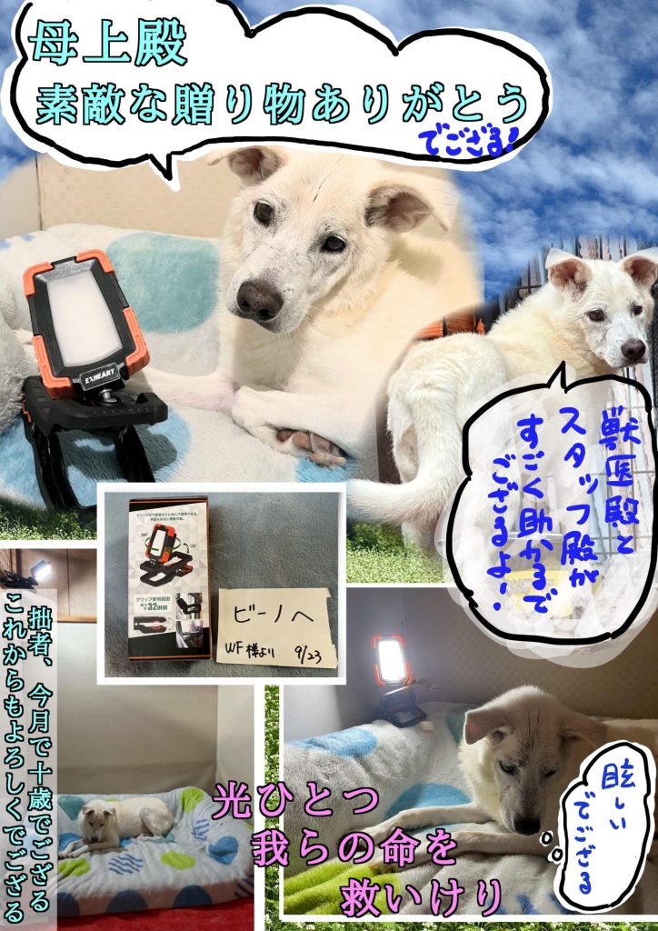 b61a2ced515f9272bd8ec53bdf843539