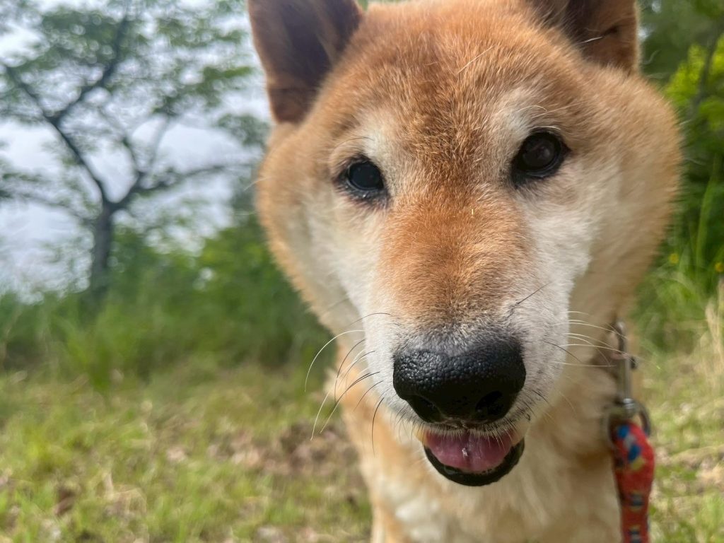 7a9648497277067c5f8d33439977eb23