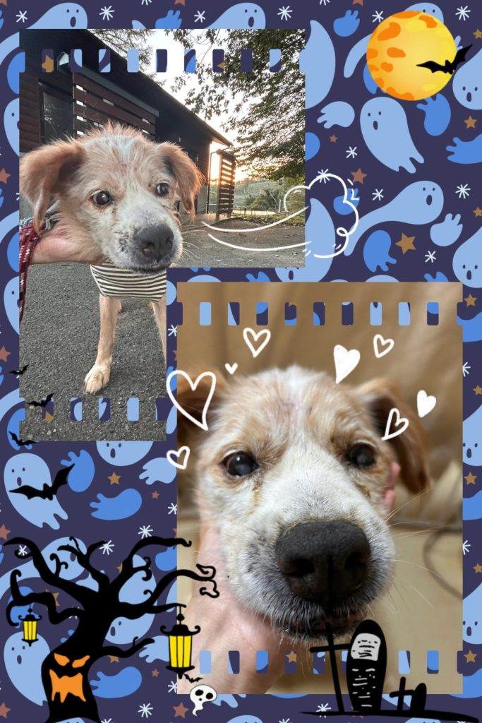 7e1fa0d030e3a542f0ed480184693742