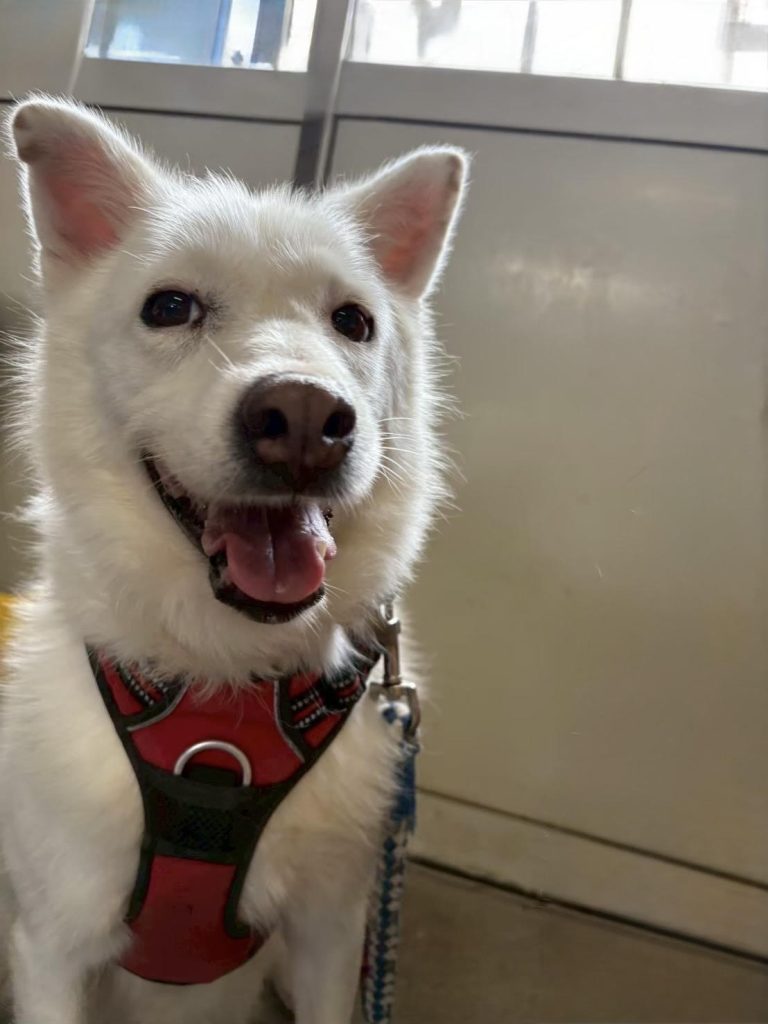 f3dd01fee0aa4a5897dcf26669b8d6e1