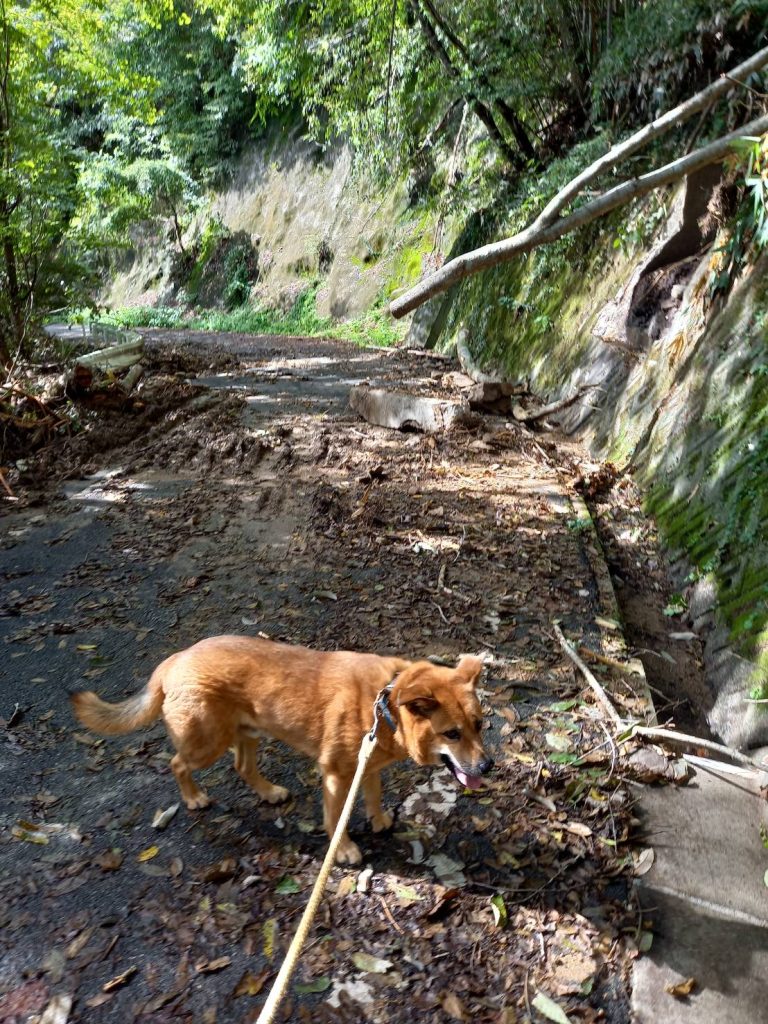 124f873228503a13ddf3c6daf8ef63d9