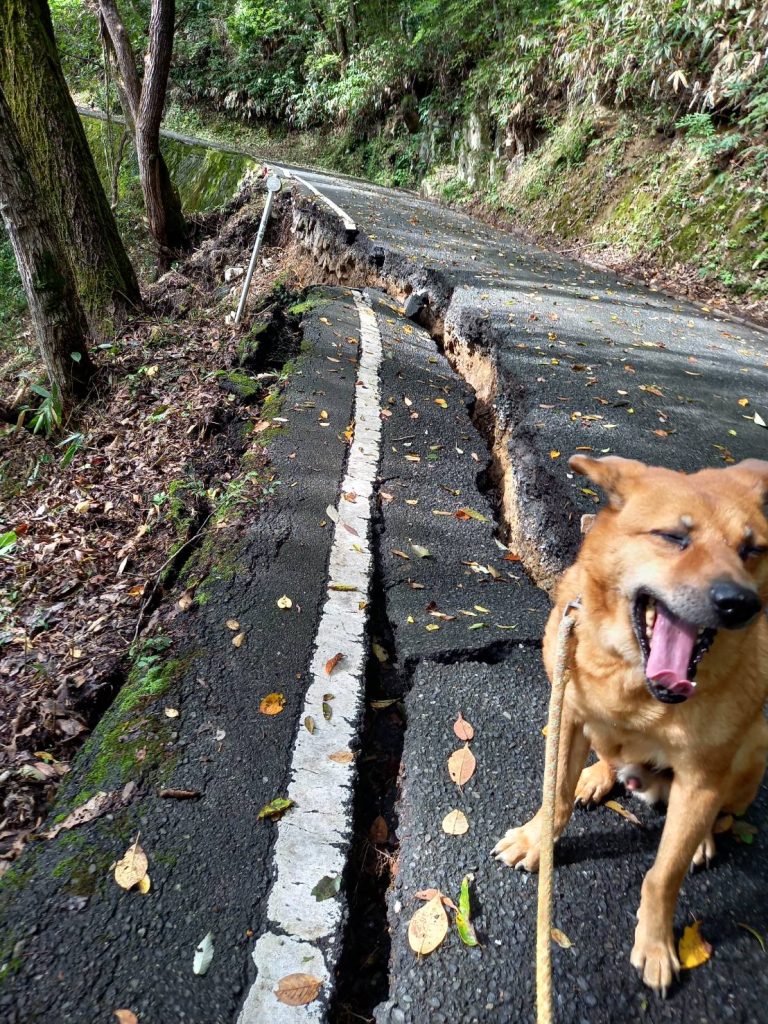 396ad10fd75346be74e8d08c9c04faff