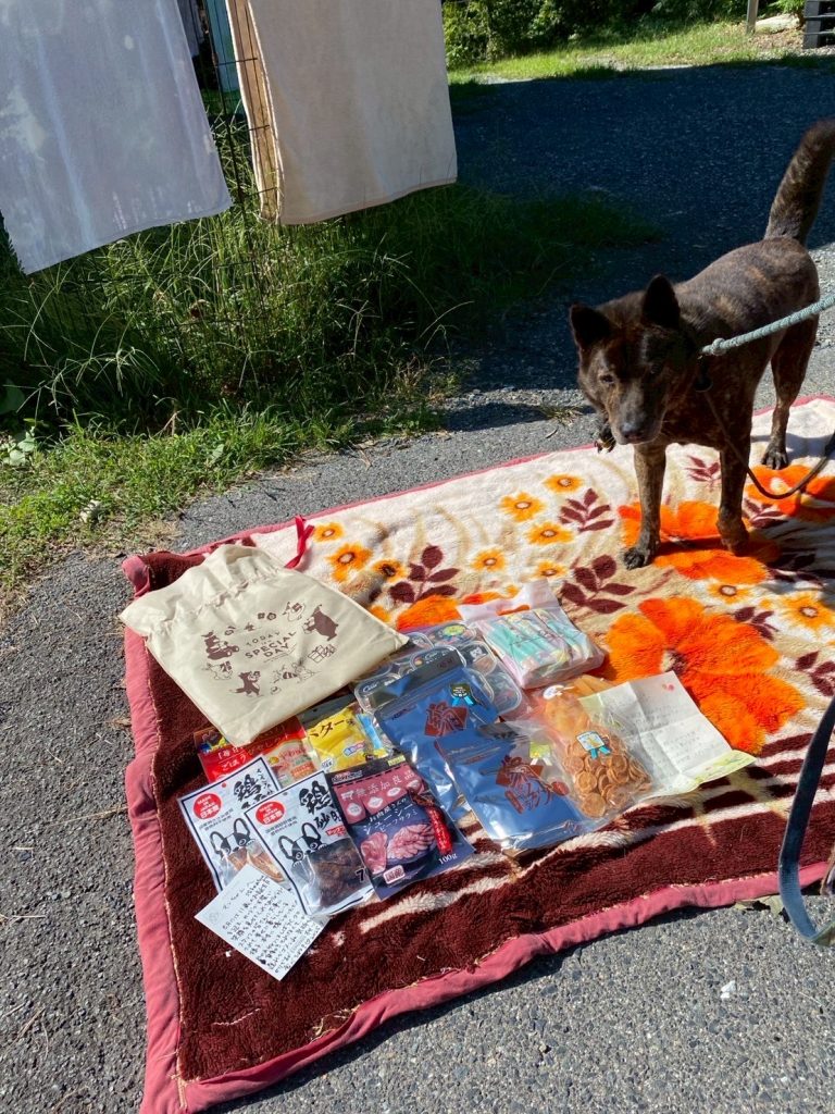 444f6095ccc7cc735b22e8c08fe56232