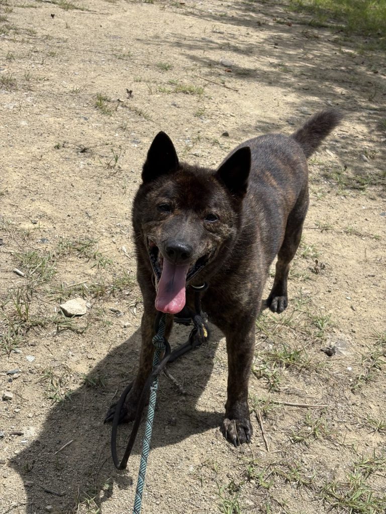 77d079e6fc07ff7264ff38f1c3d9f9ca