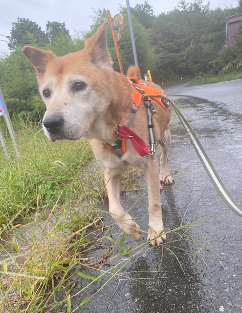 9101be6cb0e1e4128e30dc60951e5eed