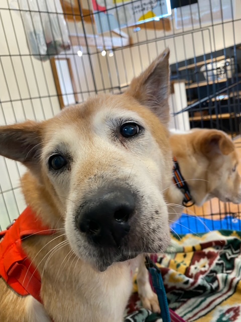 a6b8761486ad8a746eb3c3ae41a465e6