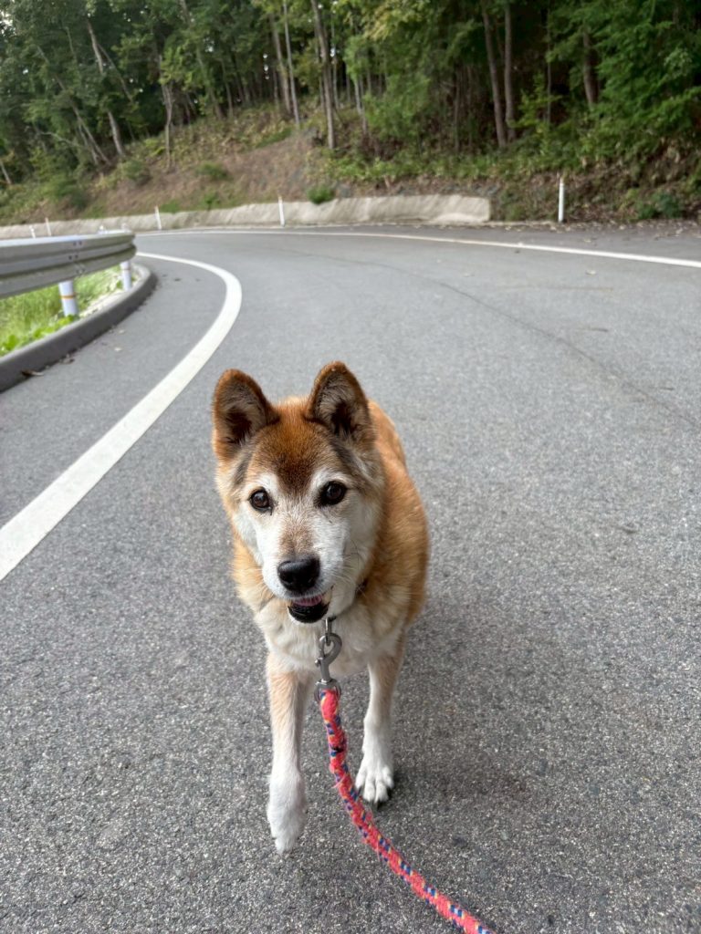 754f1bb8ec34be48eb46410963ba5fd6