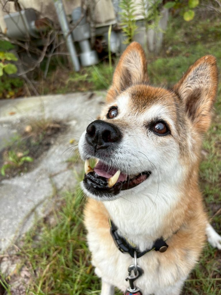 ba6d16f6c0cf259e0f6640ad62cb23d7