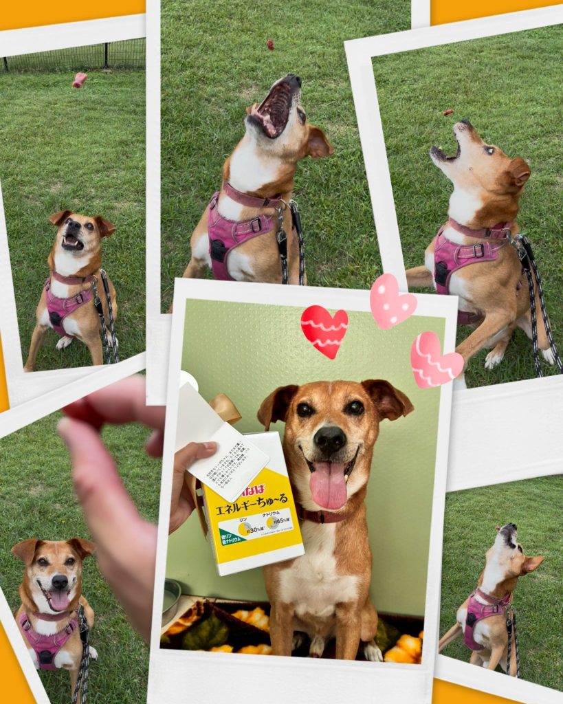 ab717db8443e90d5b8496087f2b89c4b