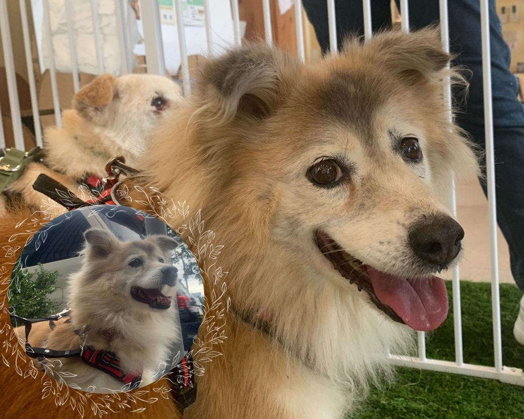 81449e49e0a7b6fd2151babac344bcaa